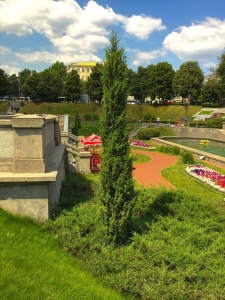 Можжевельник скальный Скайрокет